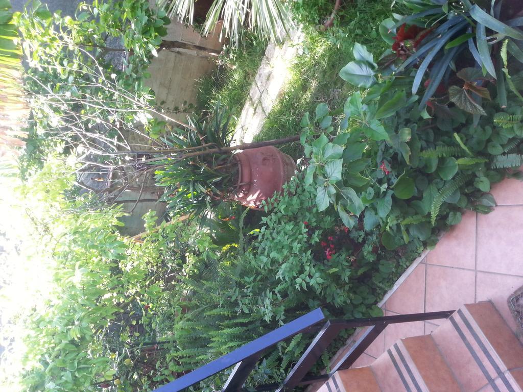 برينديسي B&B Mare E Sole المظهر الخارجي الصورة